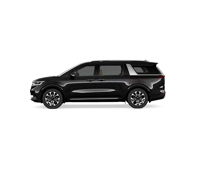 (Aurora Black Pearl)