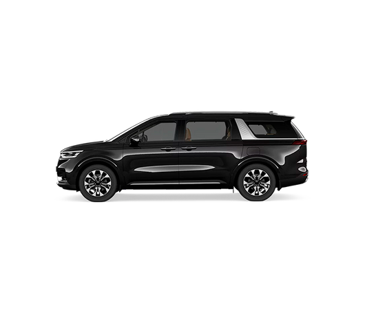 (Aurora Black Pearl)