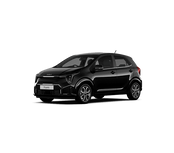 (Aurora black pearl)