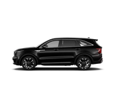 (Aurora black pearl)