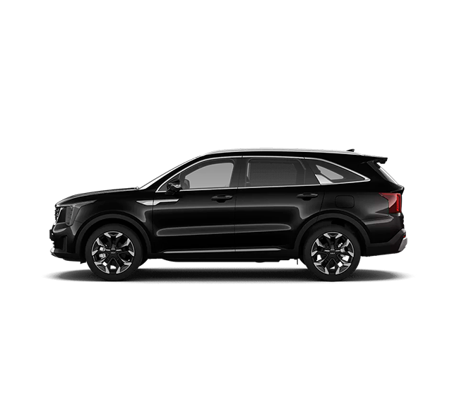 (Aurora black pearl)