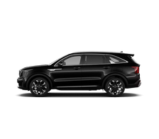 (Aurora black pearl)