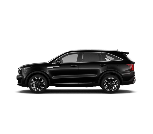 (Aurora black pearl)