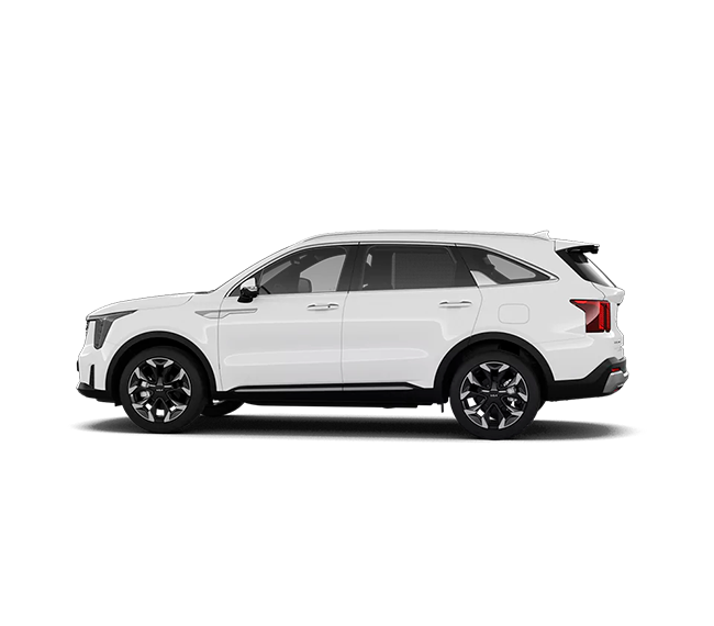 (Clear White)