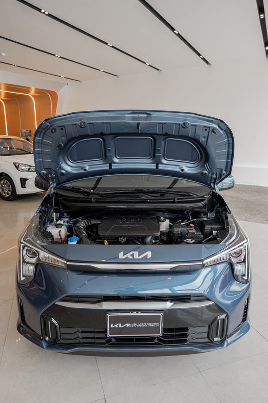Kia Picanto 2024 Venezuela | Auto Compacto, Económico y Seguro