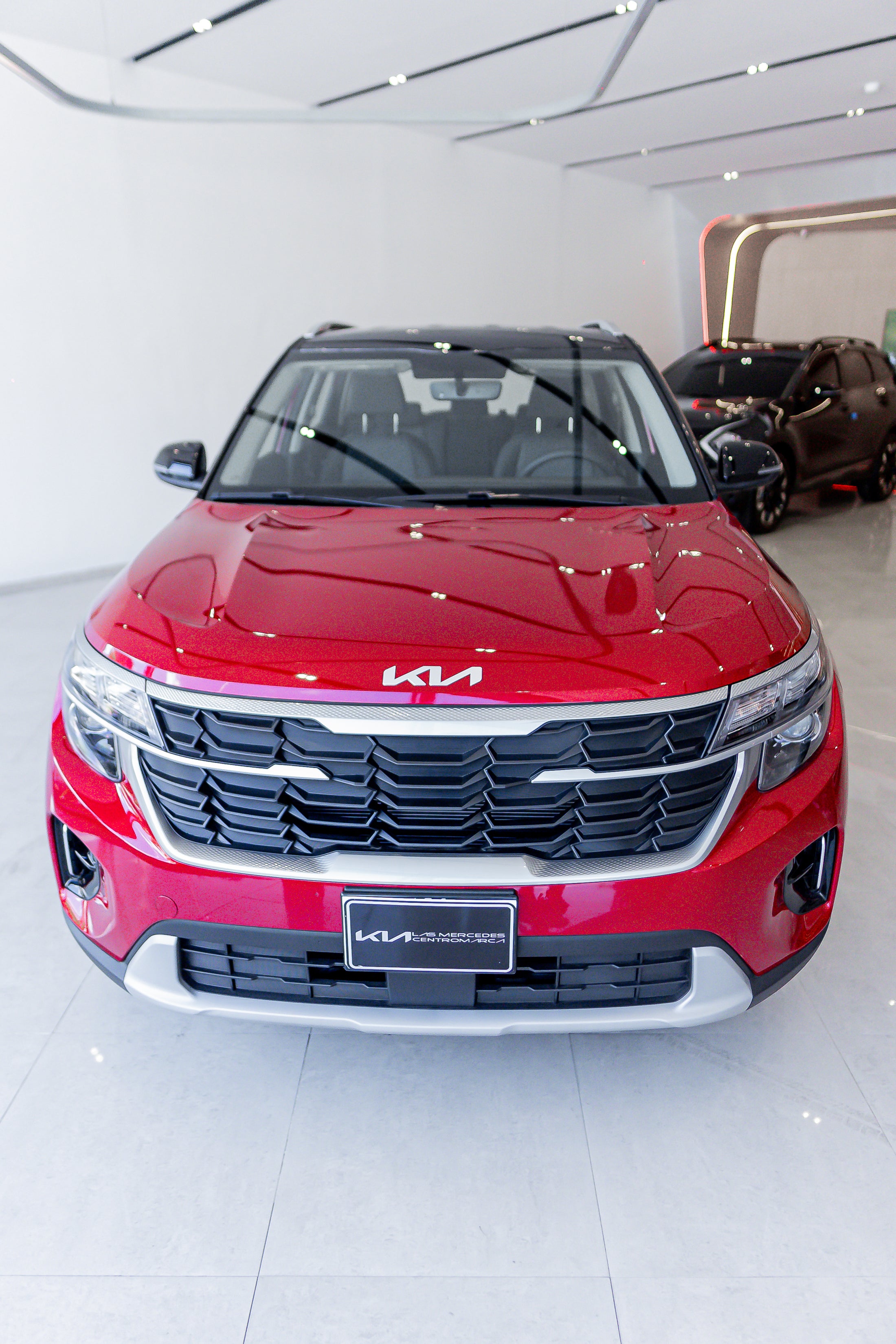 Kia Seltos 2024 Venezuela | SUV Compacto, Seguro y Conectado