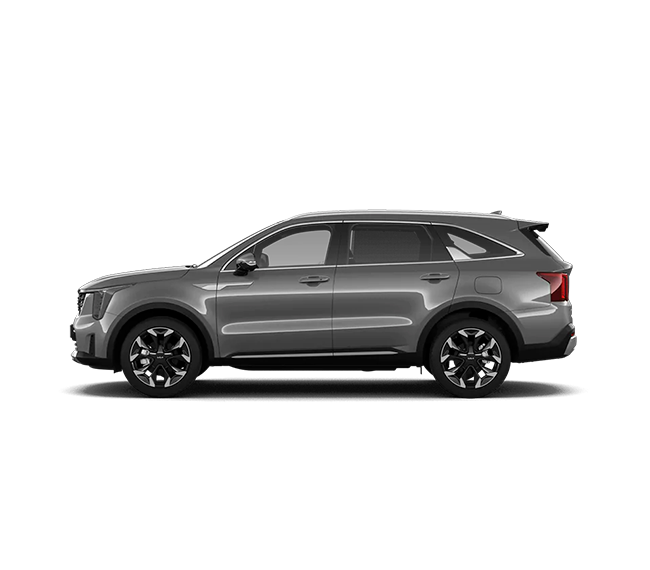 (Steel Gray)